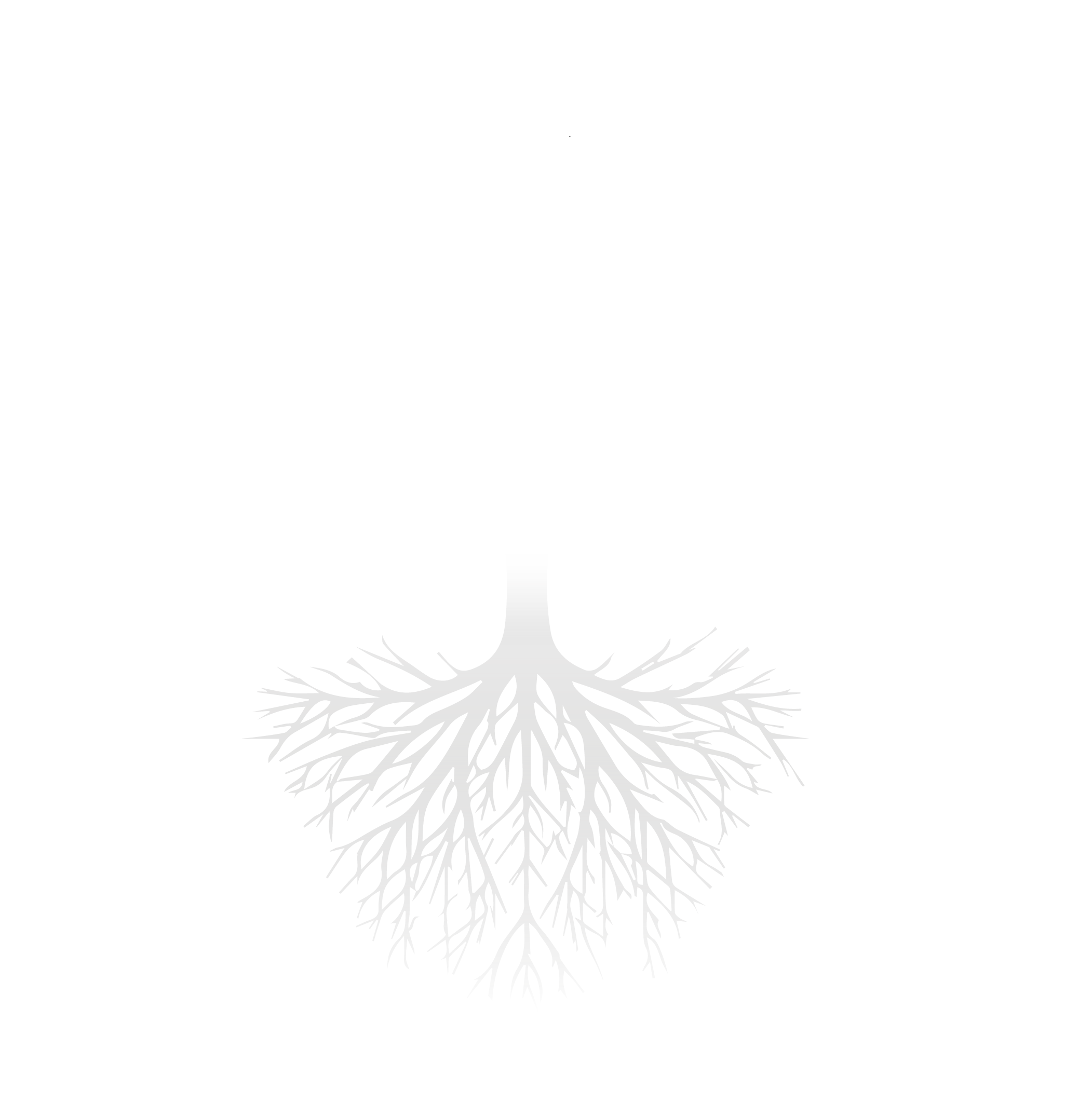 HANNIBAL Groupe de musique métal